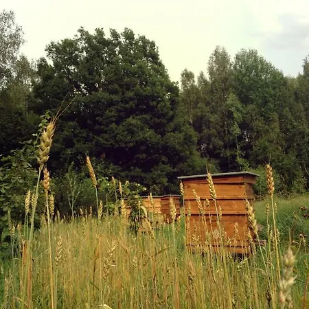Glempings Klaukas